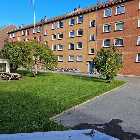 Central And Cosy Apartment In Trondheim, Free Parkingspot Exterior photo