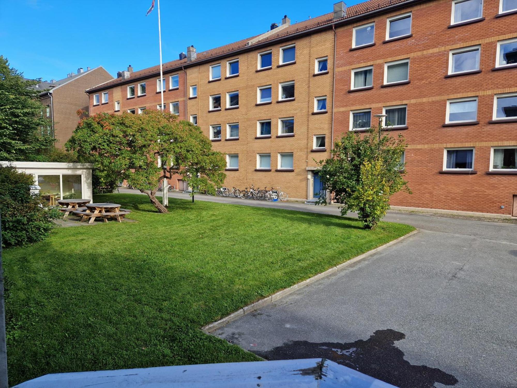 Central And Cosy Apartment In Trondheim, Free Parkingspot Exterior photo